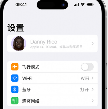 旬阳appleID维修服务iPhone设置中Apple ID显示为灰色无法使用 