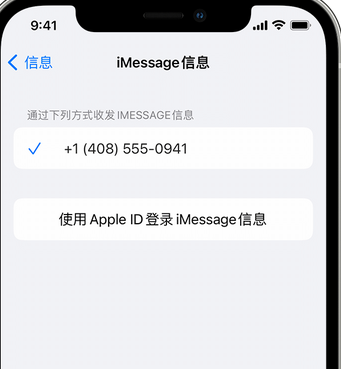 旬阳apple维修iPhone上无法正常发送iMessage信息 