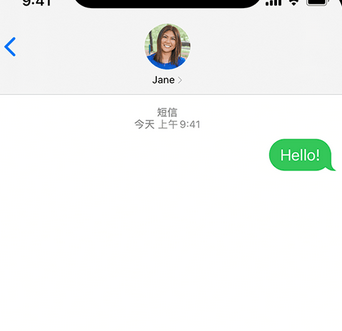 旬阳apple维修iPhone上无法正常发送iMessage信息