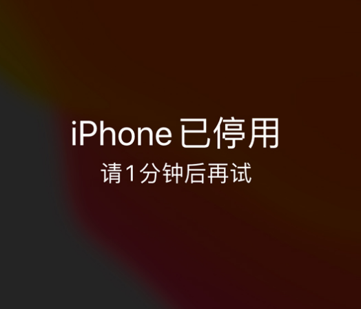 旬阳苹果手机维修分享:iPhone 显示“不可用”或“已停用”怎么办？还能保留数据吗？ 