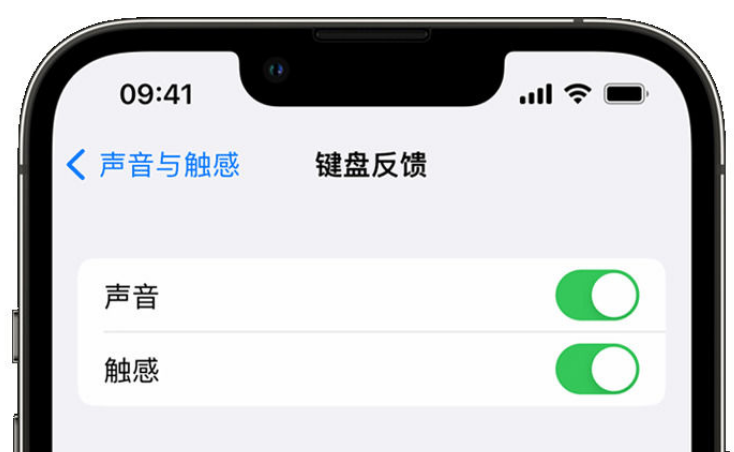 旬阳苹果手机维修分享iPhone 14触感键盘使用方法 