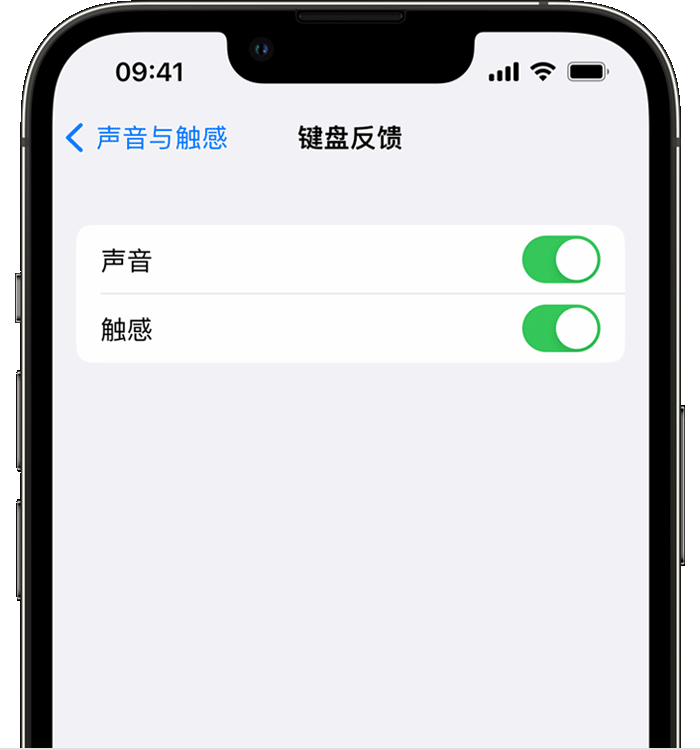 旬阳苹果14维修店分享如何在 iPhone 14 机型中使用触感键盘 