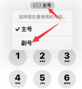 旬阳苹果14维修店分享iPhone 14 Pro Max使用副卡打电话的方法 