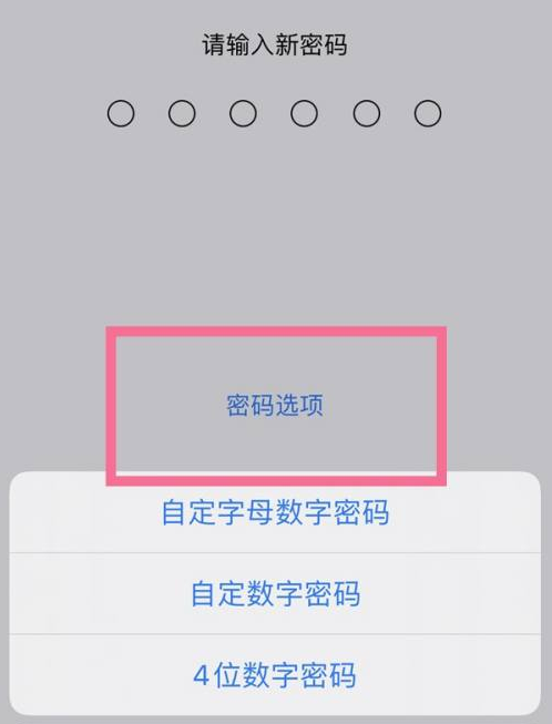 旬阳苹果14维修分享iPhone 14plus设置密码的方法 