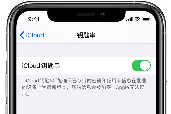 旬阳苹果手机维修分享在 iPhone 上开启 iCloud 钥匙串之后会储存哪些信息 